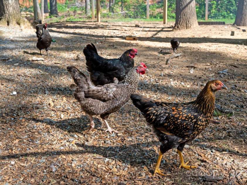 9806 Joe Kerr Road, Waxhaw, NC 28173.  MLS# CAR4281781, YatesRealty ID 27452. 