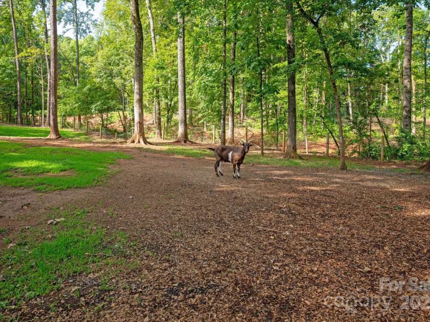 9806 Joe Kerr Road, Waxhaw, NC 28173.  MLS# CAR4281781, YatesRealty ID 27452. 