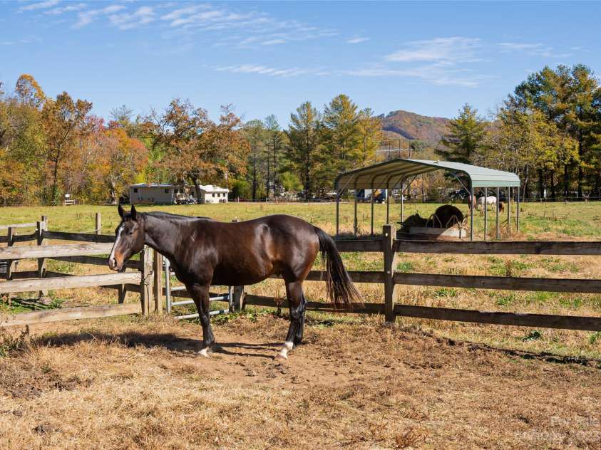 500 Blue Ridge Road, Black Mountain, NC 28711.  MLS# CAR4082289, YatesRealty ID 27503. Fenced paddocks