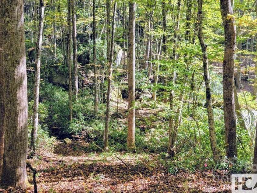 117 Speckled Feather Pass, Sapphire, NC 28774.  MLS# CAR4277358, YatesRealty ID 27509. 