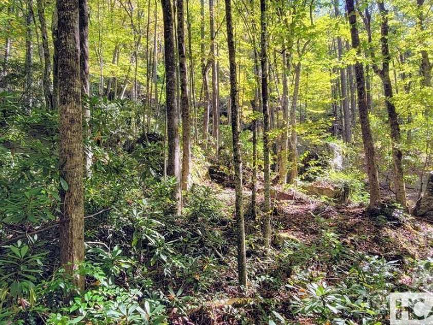 117 Speckled Feather Pass, Sapphire, NC 28774.  MLS# CAR4277358, YatesRealty ID 27509. 