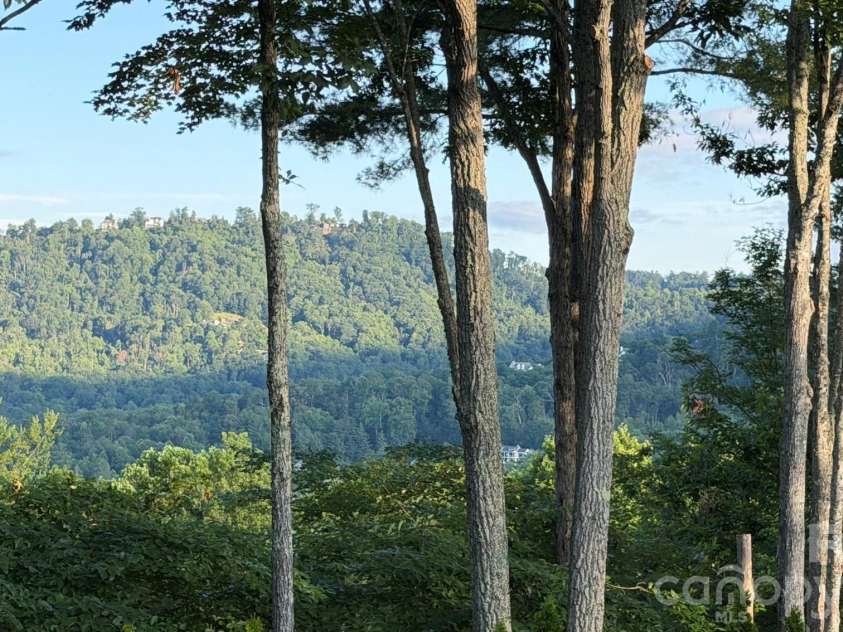 152 Skyview Circle, Asheville, NC 28804.  MLS# CAR4384126, YatesRealty ID 27544. Year round views!