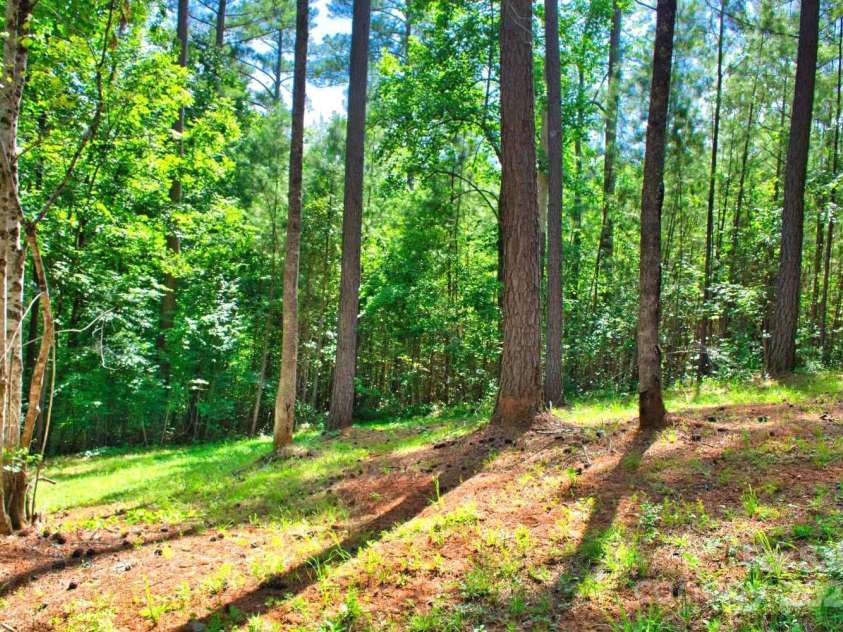 321 Hearthstone Drive, Union Mills, NC 28167.  MLS# CAR4283344, YatesRealty ID 27546. 