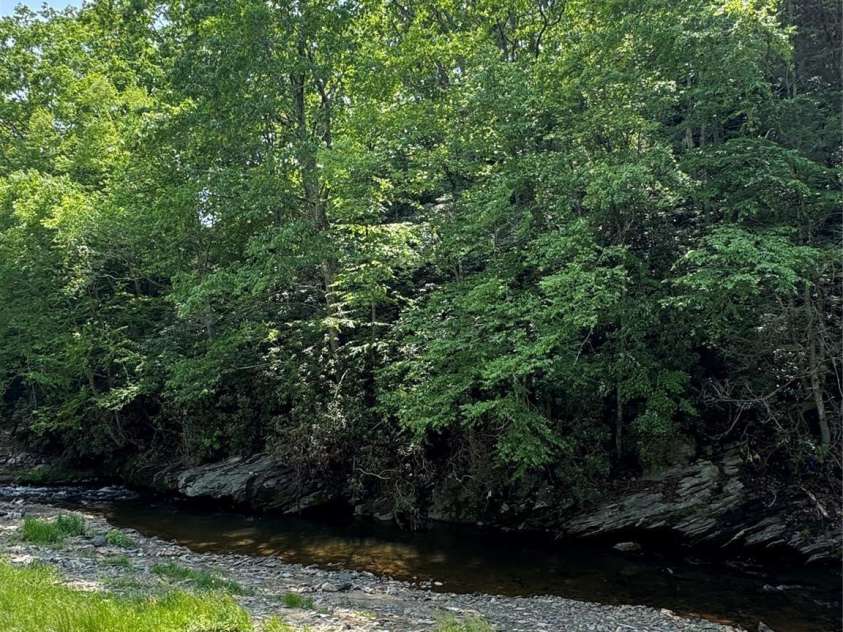 232 Cole Hollow Road, Newland, NC 28657.  MLS# CAR4266682, YatesRealty ID 27609. River