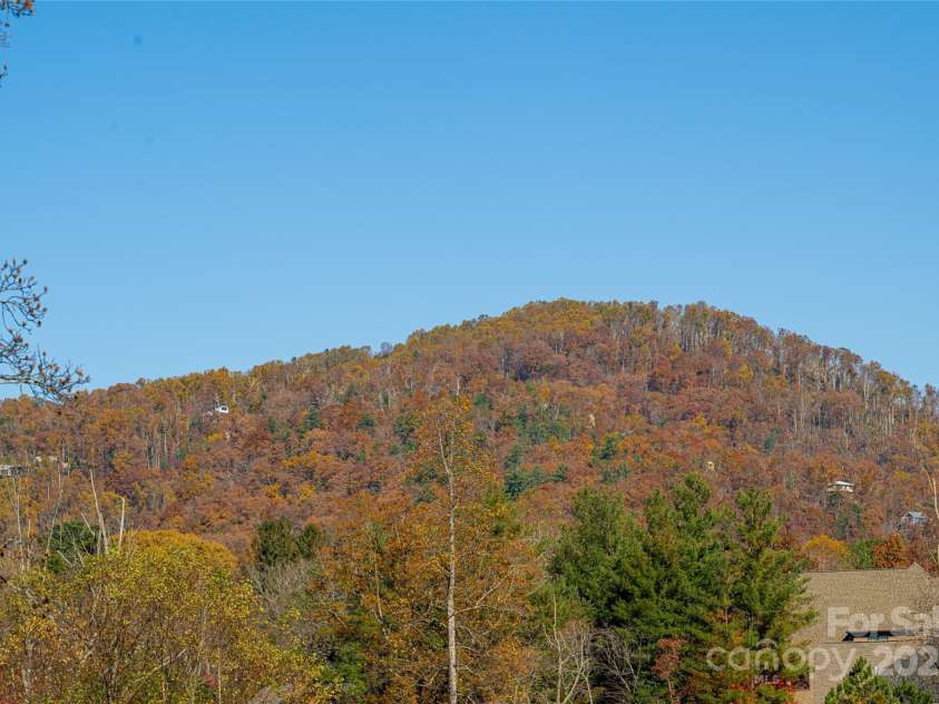 38 Chantilly Drive, Asheville, NC 28804.  MLS# CAR4320562, YatesRealty ID 2766. 