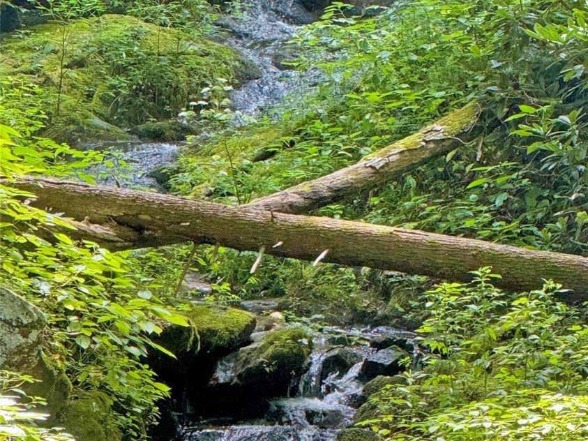 3617 Lonesome Mountain Road, Marshall, NC 28753.  MLS# CAR4281423, YatesRealty ID 27667. 