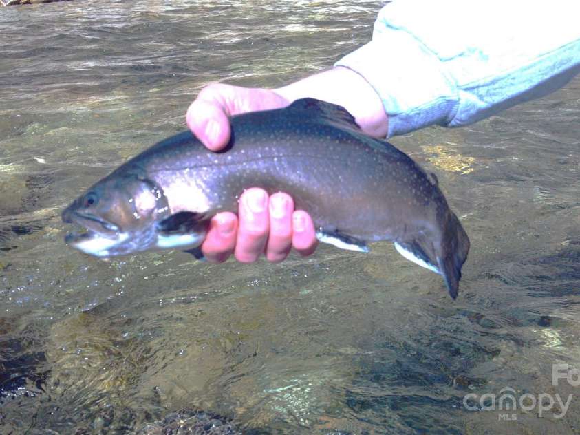 3617 Lonesome Mountain Road, Marshall, NC 28753.  MLS# CAR4281423, YatesRealty ID 27667. 