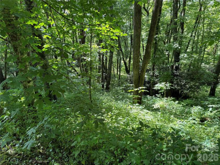 2085 Laurel Ridge, Maggie Valley, NC 28751.  MLS# CAR4384764, YatesRealty ID 27669. 
