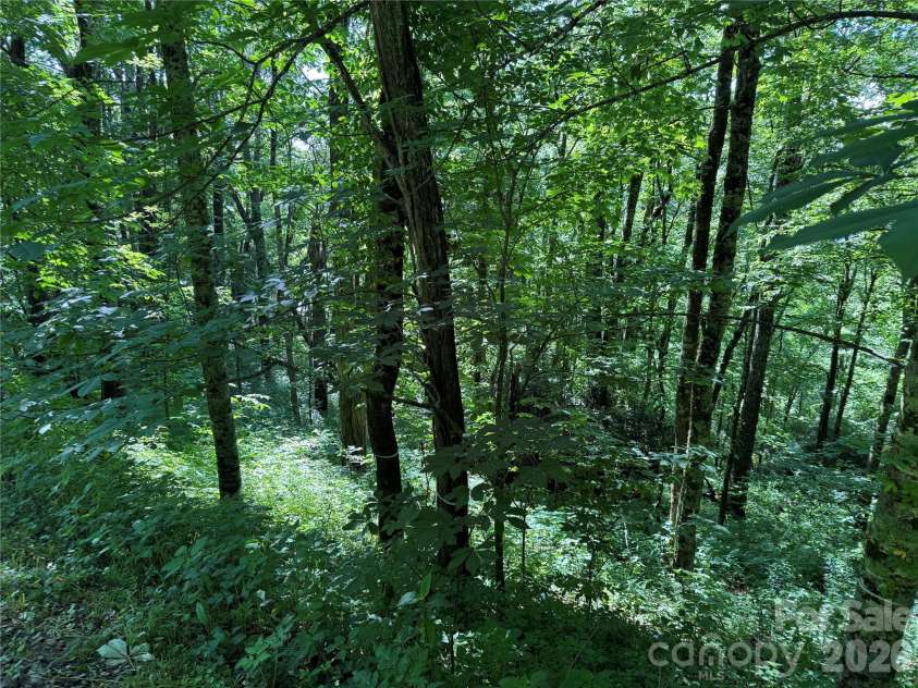 2085 Laurel Ridge, Maggie Valley, NC 28751.  MLS# CAR4384764, YatesRealty ID 27669. 