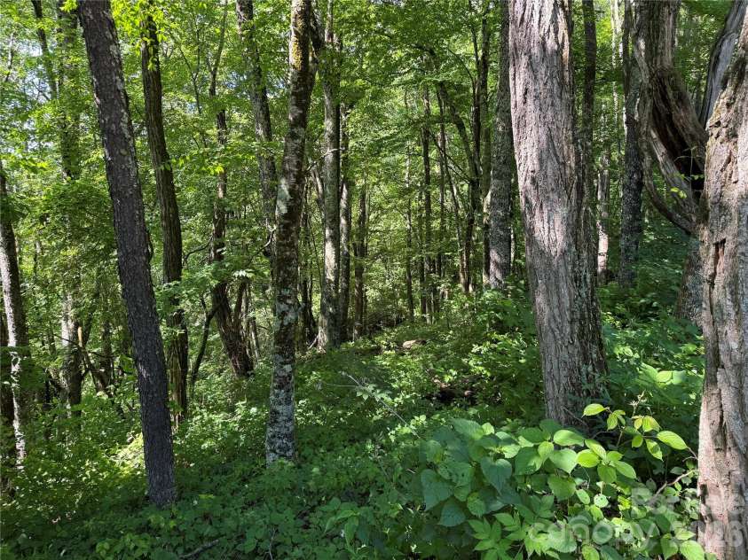 2085 Laurel Ridge, Maggie Valley, NC 28751.  MLS# CAR4384764, YatesRealty ID 27669. 