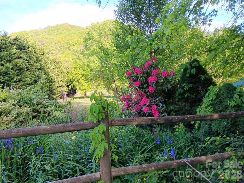 2802 Beaverdam Road, Canton, NC 28716.  MLS# CAR4382703, YatesRealty ID 27673. Iris and Azeleas in Side Garden
