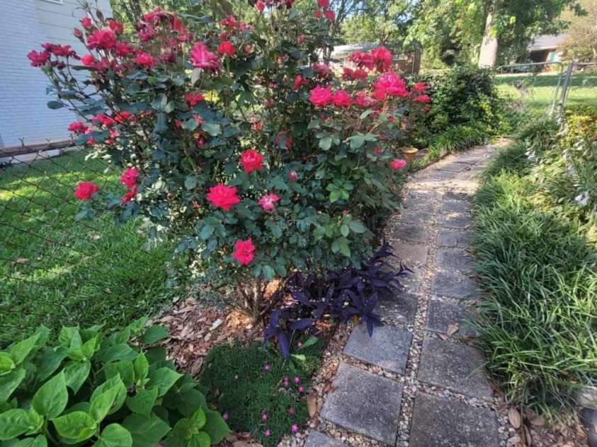 111 Redwood Lane, Gastonia, NC 28052.  MLS# CAR4273480, YatesRealty ID 27723. Beautiful landscaped pathway