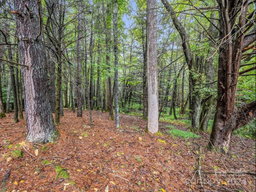 270 Mills River Way, Horse Shoe, NC 28742.  MLS# CAR4190323, YatesRealty ID 2776. 
