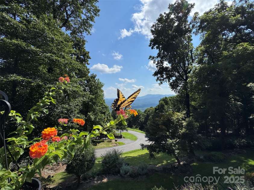 1995 Hemlock Trail, Columbus, NC 28722.  MLS# CAR4278397, YatesRealty ID 27778. 