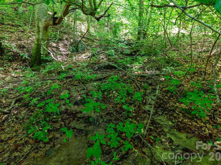 329 Fork Road, Barnardsville, NC 28709.  MLS# CAR4377816, YatesRealty ID 27803. 
