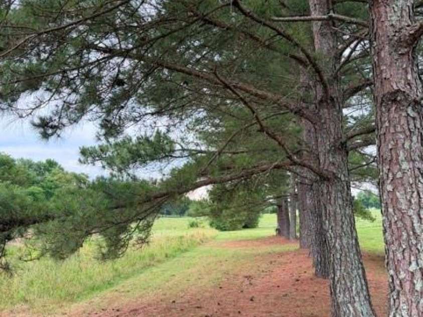 32541 Bethlehem Church Road, Norwood, NC 28128.  MLS# CAR4388994, YatesRealty ID 27891. 