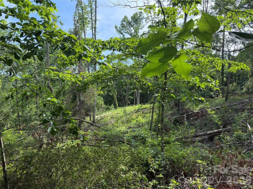 351 Mag Sluder Road, Alexander, NC 28701.  MLS# CAR4385877, YatesRealty ID 27928. Multiple Potential Building Sites