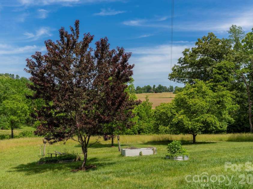 351 Mag Sluder Road, Alexander, NC 28701.  MLS# CAR4385877, YatesRealty ID 27928. Plum Tree