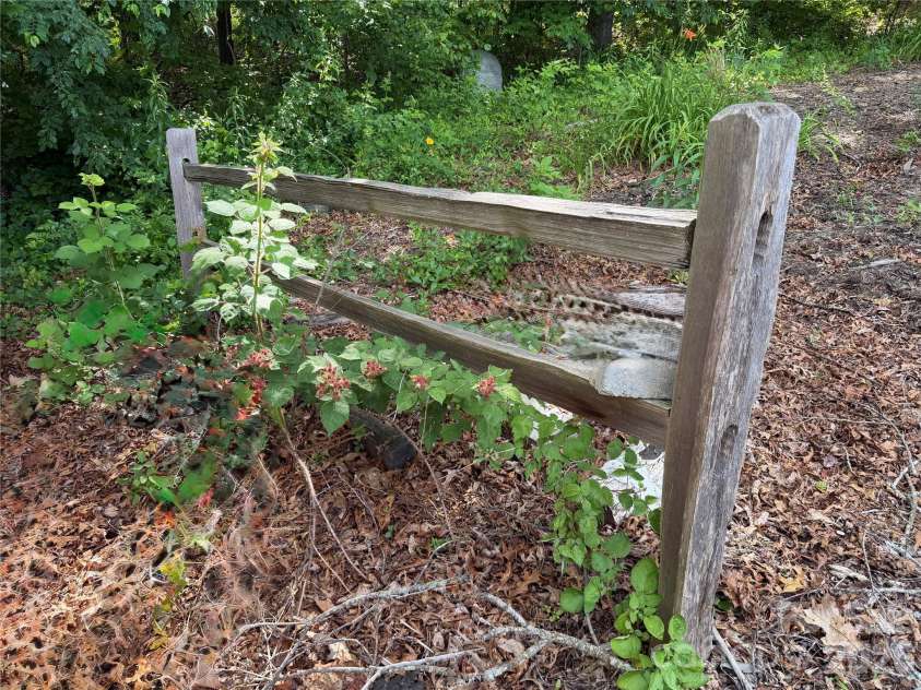 351 Mag Sluder Road, Alexander, NC 28701.  MLS# CAR4385877, YatesRealty ID 27928. Red Raspberry Vine