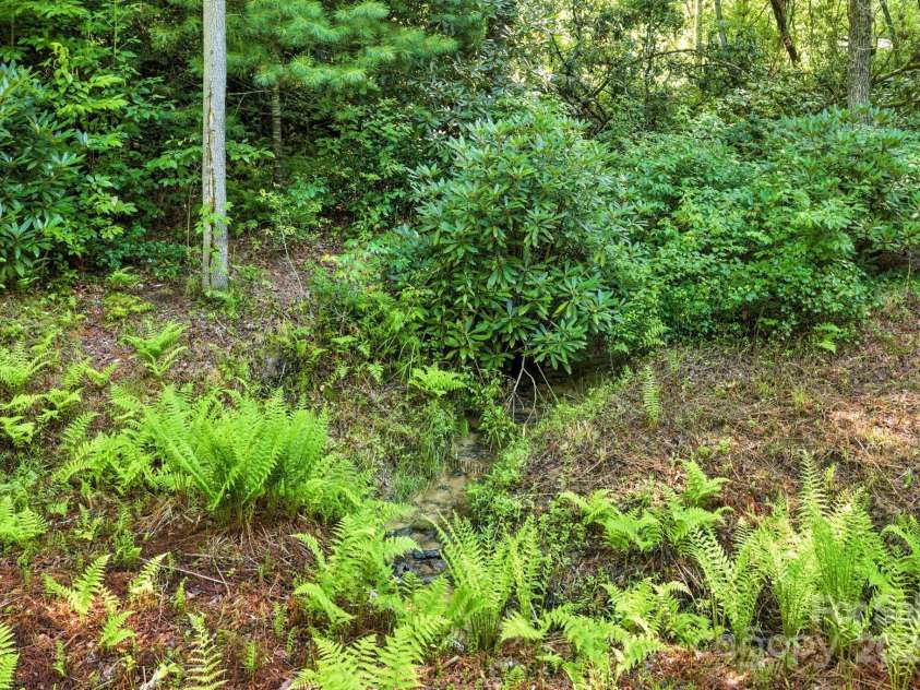 3333 Old Toxaway Road, Brevard, NC 28712.  MLS# CAR4282711, YatesRealty ID 27936. Creek on one side of the property!