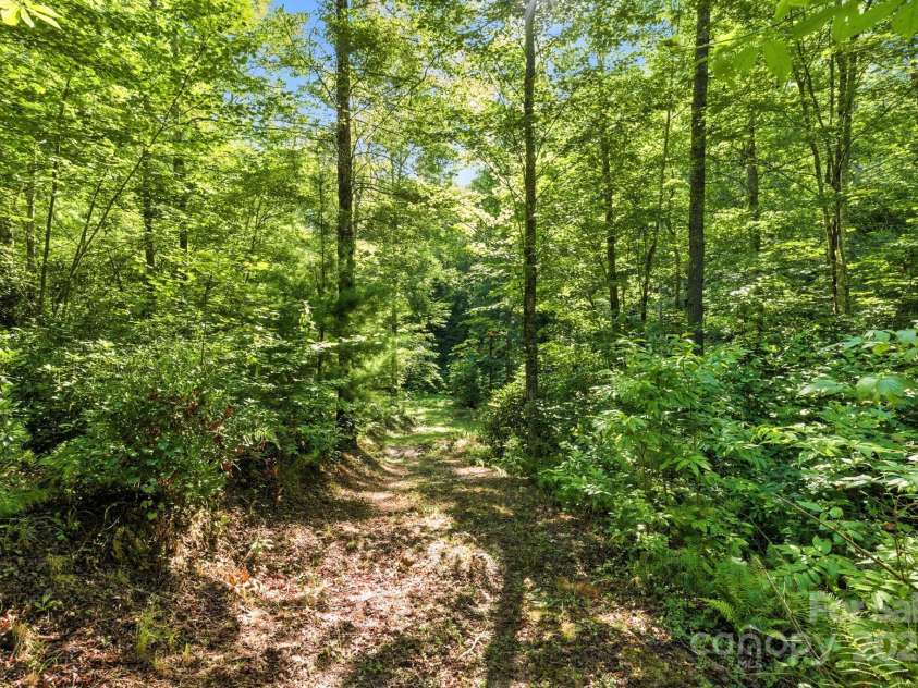 3333 Old Toxaway Road, Brevard, NC 28712.  MLS# CAR4282711, YatesRealty ID 27936. Driveway leading to extra lot!