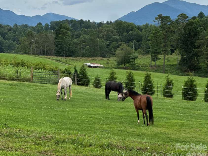 1552 Bear Creek Road, Leicester, NC 28748.  MLS# CAR4340462, YatesRealty ID 2799. Gentle fields w/mountain backdrop
