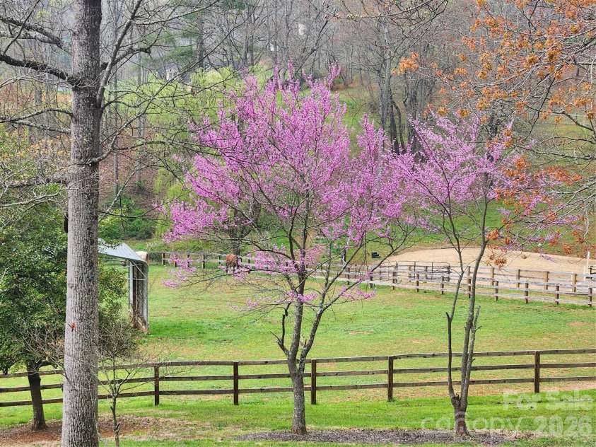 1552 Bear Creek Road, Leicester, NC 28748.  MLS# CAR4340462, YatesRealty ID 2799. Spring is a delight!