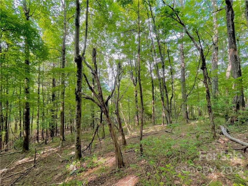 1125 Church Road, Boone, NC 28607.  MLS# CAR3926602, YatesRealty ID 2803. 