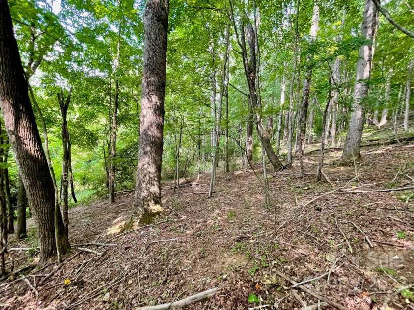 1125 Church Road, Boone, NC 28607.  MLS# CAR3926602, YatesRealty ID 2803. 