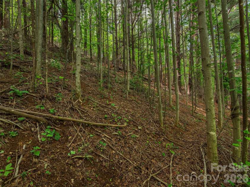 5622 Dutch Cove Road, Canton, NC 28716.  MLS# CAR4390365, YatesRealty ID 28046. 