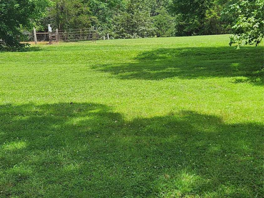 423 Tot Dellinger Road, Cherryville, NC 28021.  MLS# CAR4269760, YatesRealty ID 28063. Backyard