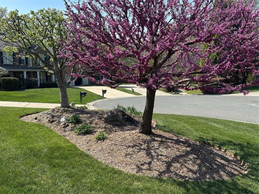 2535 Harlington Lane, Charlotte, NC 28270.  MLS# CAR4383285, YatesRealty ID 28085. 