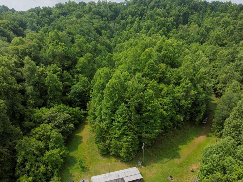 320 Board Tree Road, Marshall, NC 28753.  MLS# CAR4266213, YatesRealty ID 2810. 