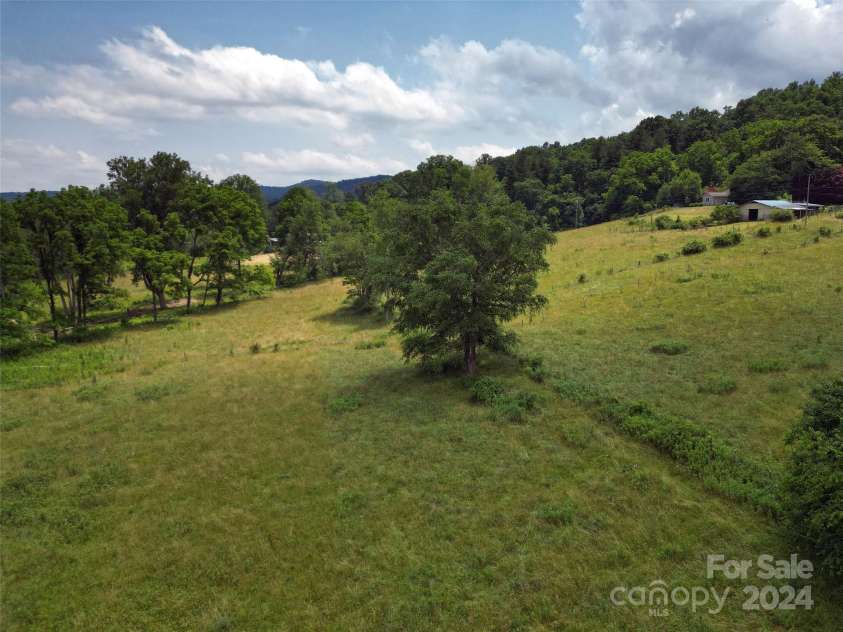 273 & 133 Nicholson Lane, Etowah, NC 28729.  MLS# CAR4133823, YatesRealty ID 28102. Pasture along driveway