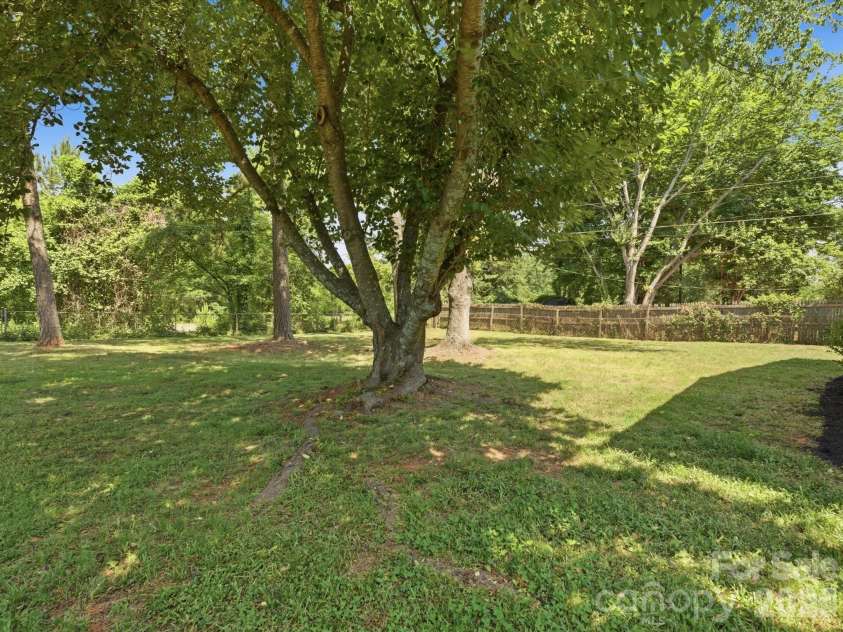 3633 Rosehaven Drive, Charlotte, NC 28205.  MLS# CAR4383444, YatesRealty ID 28107. Back Yard
