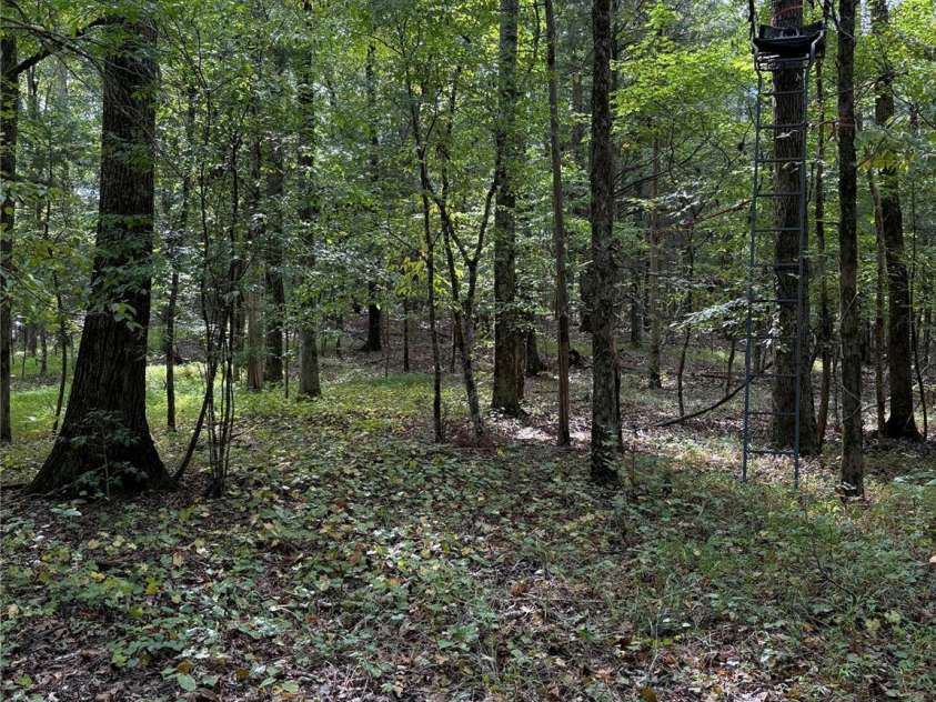 3485 Cedar Circle Road, Lancaster, SC 29720.  MLS# CAR4300756, YatesRealty ID 2812. 