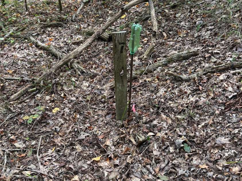 3485 Cedar Circle Road, Lancaster, SC 29720.  MLS# CAR4300756, YatesRealty ID 2812. 