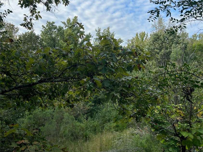 3485 Cedar Circle Road, Lancaster, SC 29720.  MLS# CAR4300756, YatesRealty ID 2812. 