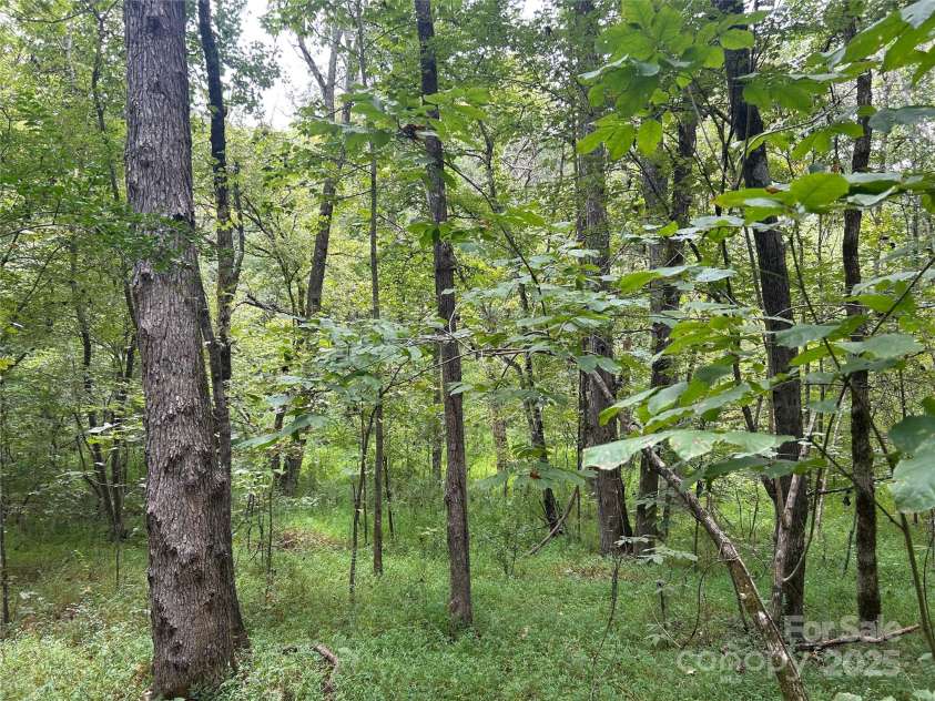 3485 Cedar Circle Road, Lancaster, SC 29720.  MLS# CAR4300756, YatesRealty ID 2812. 