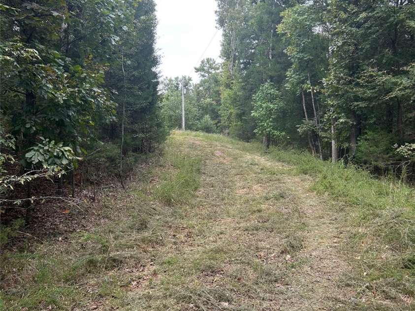 3485 Cedar Circle Road, Lancaster, SC 29720.  MLS# CAR4300756, YatesRealty ID 2812. Driveway leading out