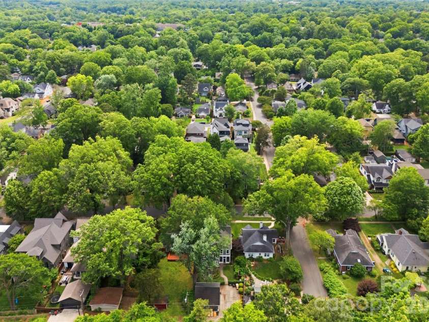 2305 Shenandoah Avenue, Charlotte, NC 28205.  MLS# CAR4380771, YatesRealty ID 28142. 