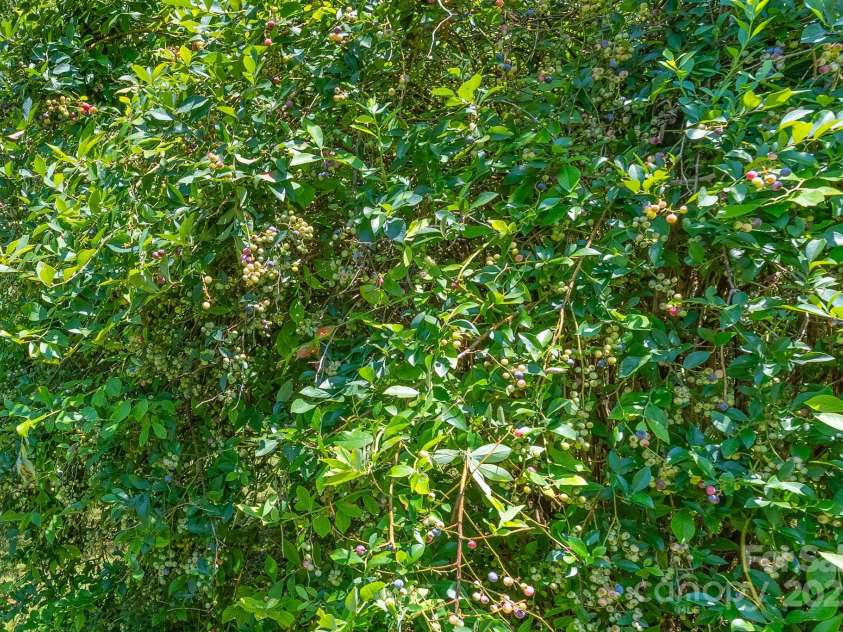 201 Fleming Drive, Rutherfordton, NC 28139.  MLS# CAR4283287, YatesRealty ID 28167. 