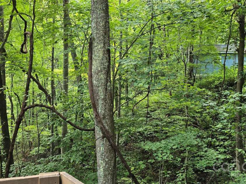 607 Rocky Top Trail, Barnardsville, NC 28709.  MLS# CAR4297170, YatesRealty ID 2818. 