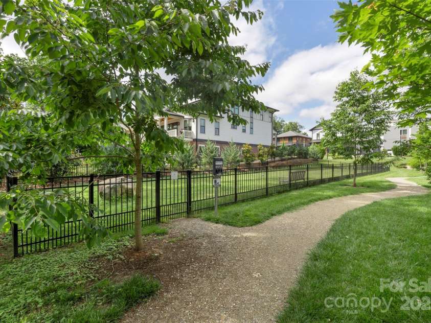 2653 Shenandoah Avenue, Charlotte, NC 28205.  MLS# CAR4264994, YatesRealty ID 28189. Dog park for the neighborhood
