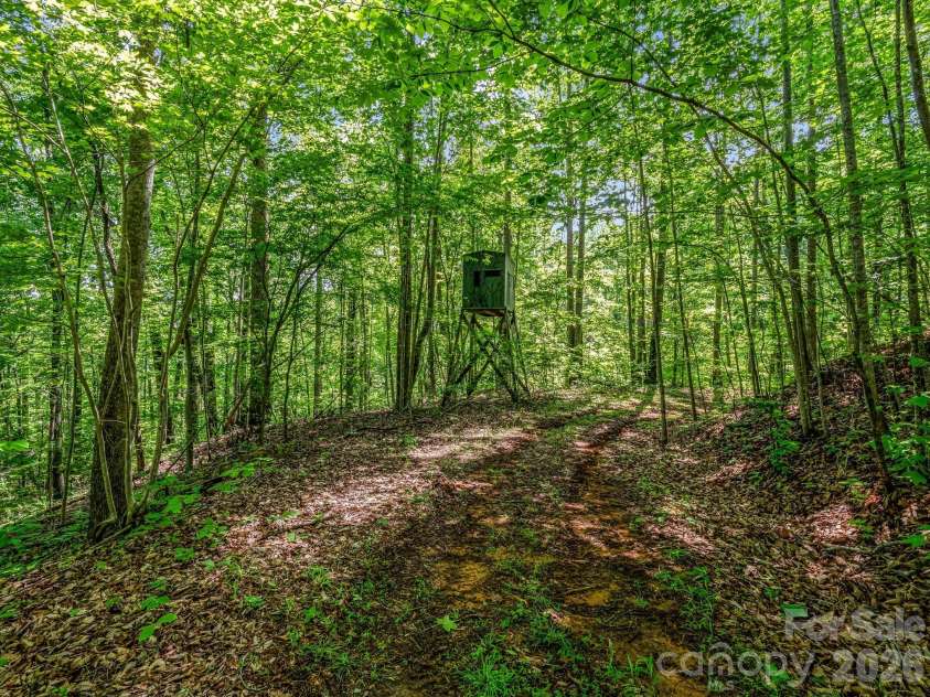 980 Mountain Forest Drive, Union Mills, NC 28167.  MLS# CAR4389604, YatesRealty ID 2822. 
