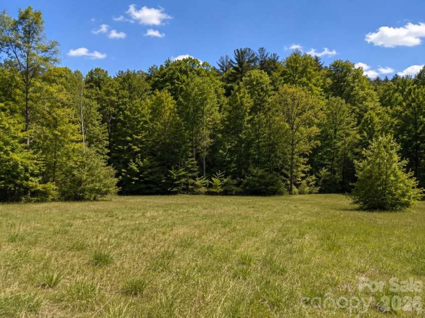 8186 Old Nc Highway 60 None, Roaring River, NC 28697.  MLS# CAR4387839, YatesRealty ID 28265. 