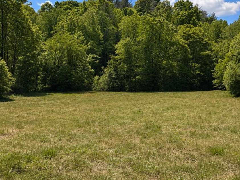8186 Old Nc Highway 60 None, Roaring River, NC 28697.  MLS# CAR4387839, YatesRealty ID 28265. 