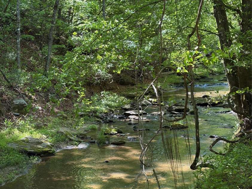 8186 Old Nc Highway 60 None, Roaring River, NC 28697.  MLS# CAR4387839, YatesRealty ID 28265. 