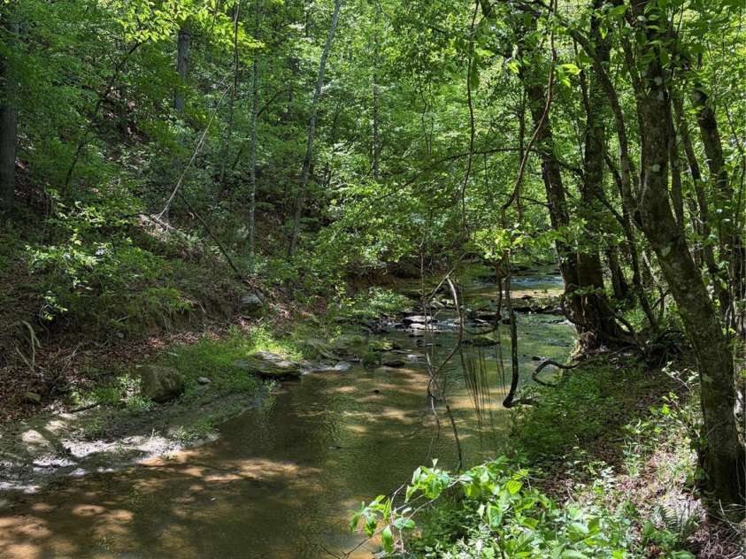 8186 Old Nc Highway 60 None, Roaring River, NC 28697.  MLS# CAR4387839, YatesRealty ID 28265. 