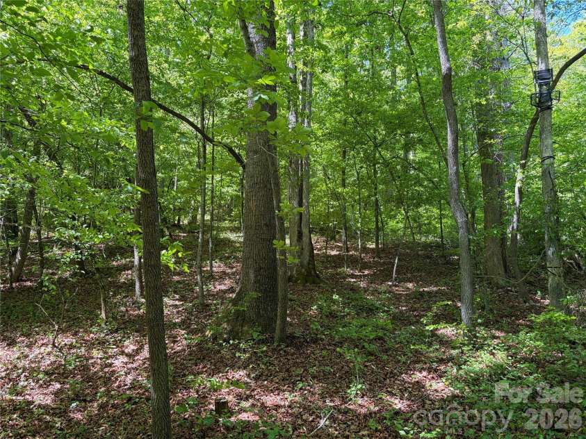 8186 Old Nc Highway 60 None, Roaring River, NC 28697.  MLS# CAR4387839, YatesRealty ID 28265. 